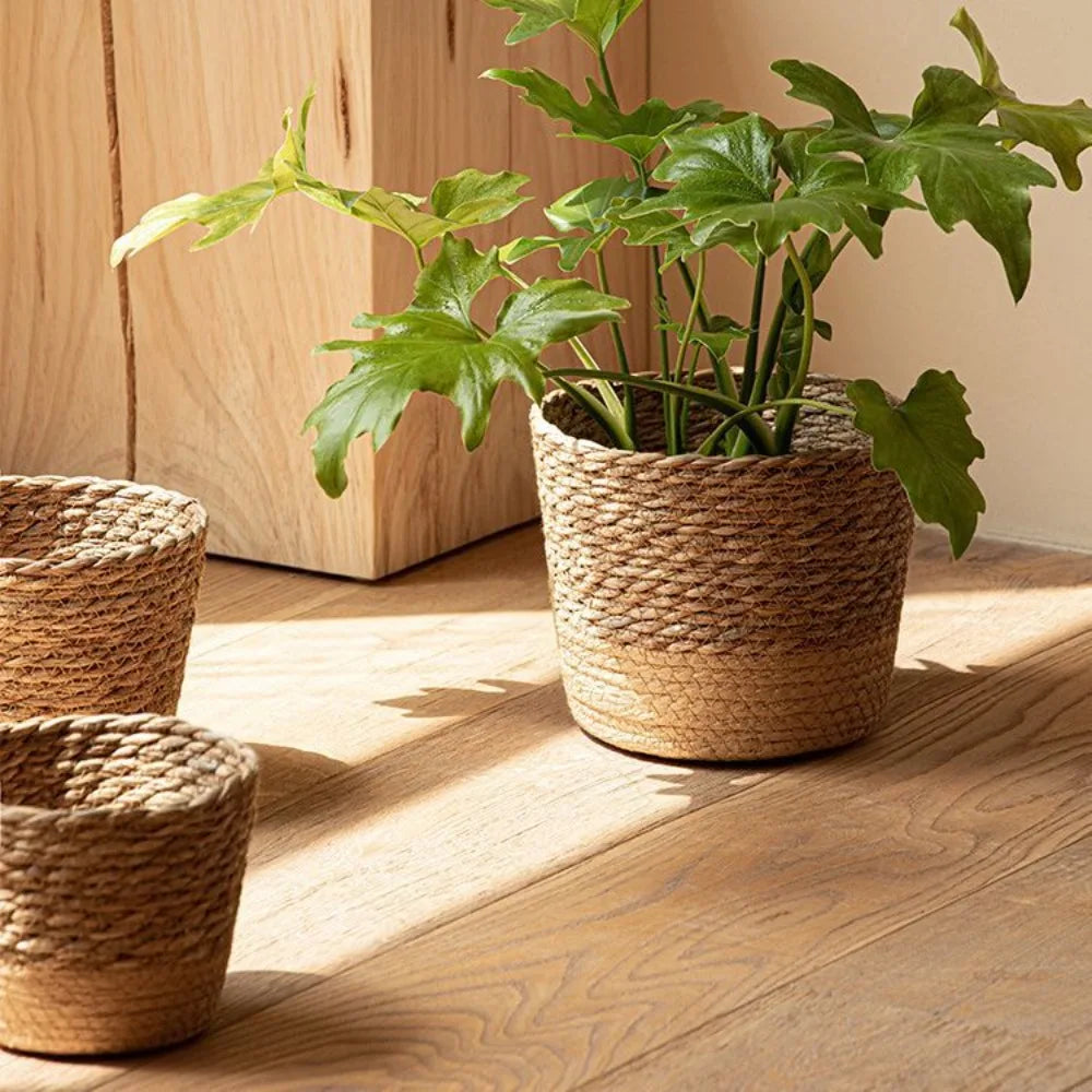 Vaso de Palha para Plantas │Houzzi - Houzzi