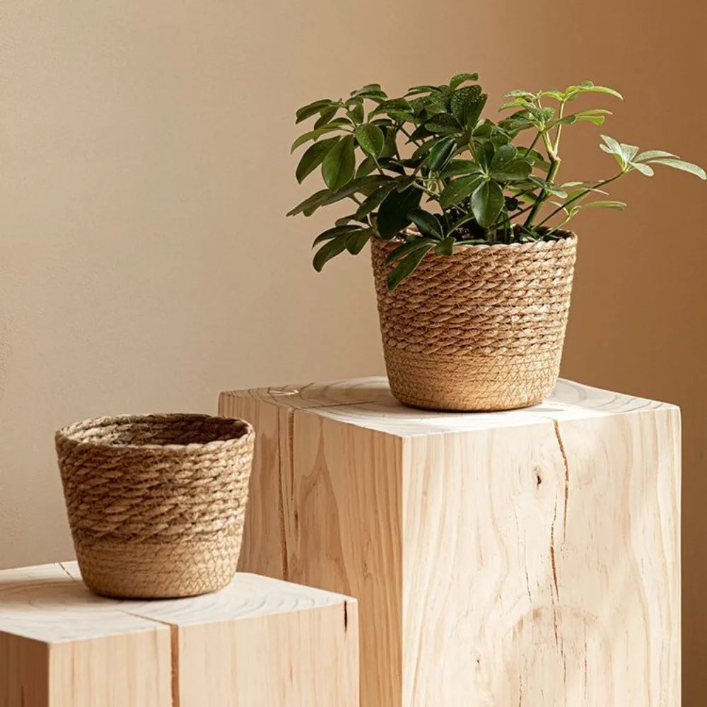 Vaso de Palha para Plantas │Houzzi - Houzzi